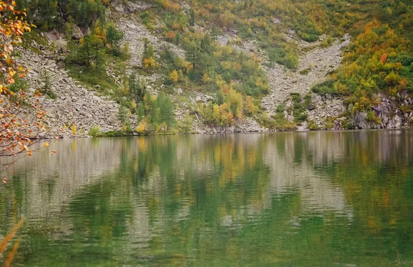 Der Fluss Liegt Inmitten Der Berge Und Wälder Des Altai — Stockfoto