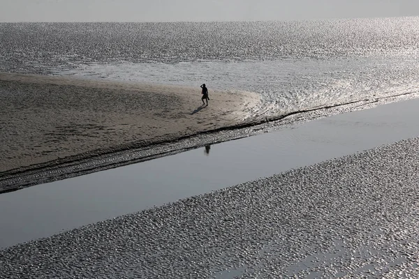 干潮の間 マトラ川の水はとても低くなり 人々はインドのキャニングタウンの他の海岸に歩く — ストック写真