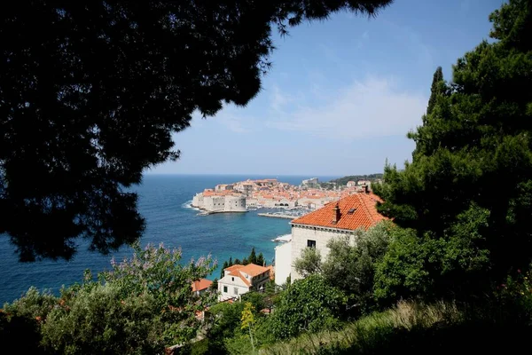 Dubrovnik Croatie Destination Voyage Populaire Adriatique — Photo