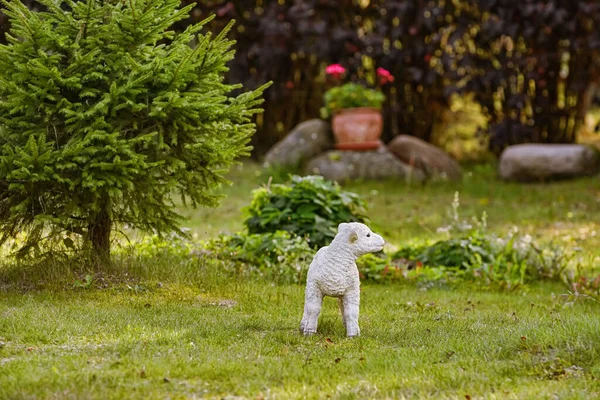 Ein Kleiner Weißer Hund Park — Stockfoto