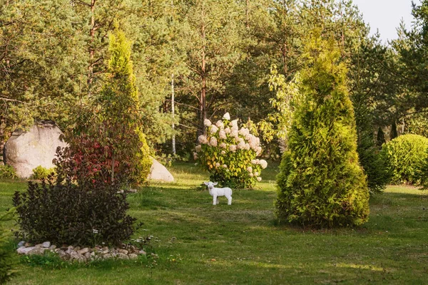 Hermosa Vista Del Parque — Foto de Stock