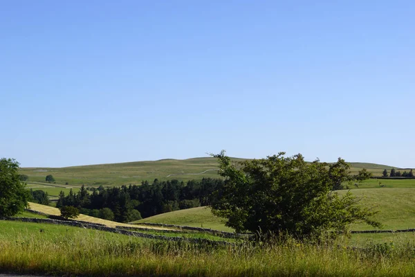 Prairie Verte Avec Ciel Bleu Nuages — Photo