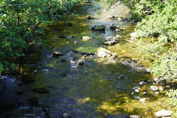 Krásný Výhled Řeku Lese — Stock fotografie