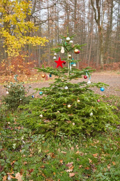 Versierde Dennenboom Aan Berm Het Midden Van Het Bos — Stockfoto