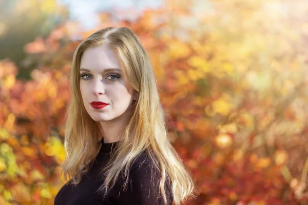 Портрет Привлекательной Девушки Позирующей Осеннем Парке Горизонтально — стоковое фото