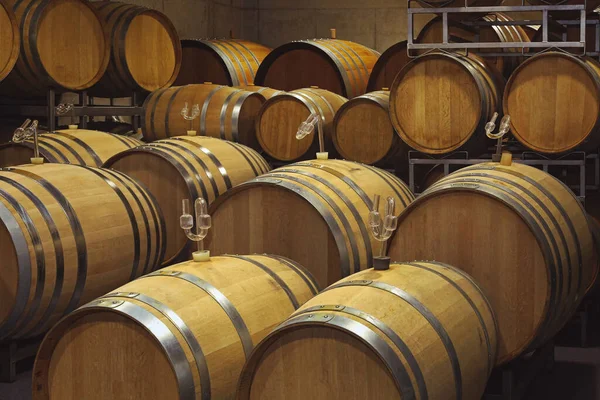 Weinfässer Keller Des Weinguts — Stockfoto