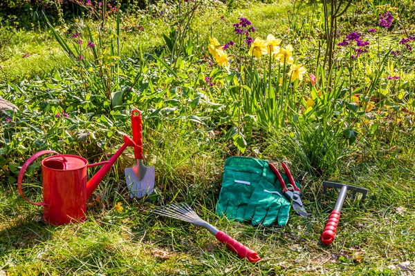 Jardinagem Com Ancinho Tesoura Regador Luvas Jardim Primavera — Fotografia de Stock