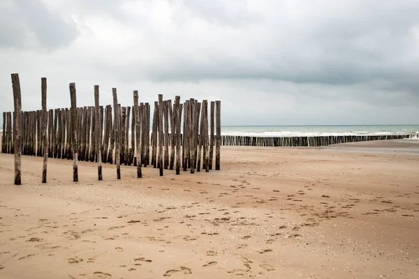 Oye Plage Yakınlarındaki Manş Denizi Nin Sakin Manzarası Sahil Koruması — Stok fotoğraf