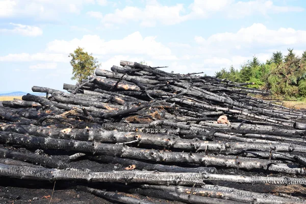 Pila Troncos Madera Apilados Suelo —  Fotos de Stock