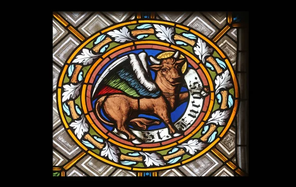 Simboluri Ale Sfântului Luca Evanghelistul Vitralii Biserica Parohială Petru Pavel — Fotografie, imagine de stoc