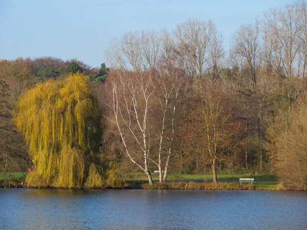 Herfst Landschap Met Bomen Rivier — Stockfoto