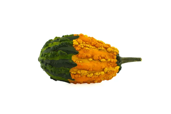 Yellow Green Decorative Warty Pumpkin Isolated White Background — Stock Photo, Image