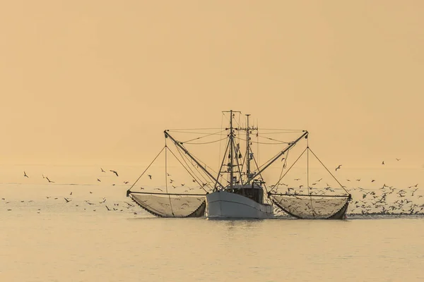 Рыболовный Траулер Северном Море Сетями Роем Чаек Буесум Северное Море — стоковое фото