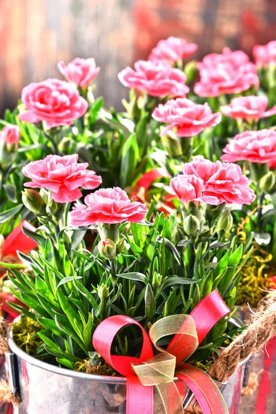 Beau Bouquet Tulipes Dans Pot Sur Fond Boîte Bois — Photo