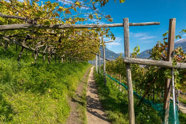 Marlinger Waalweg Oberhalb Von Meran Südtirol — Stockfoto