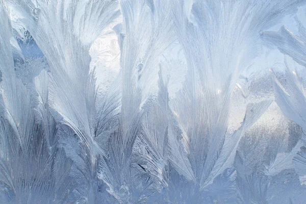 Frosty Pattern Ice Crystals Texture Frozen Frost — Stock Photo, Image