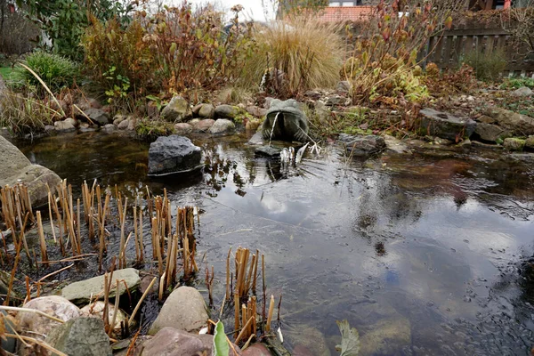 庭池の石でできた水切りカエル — ストック写真