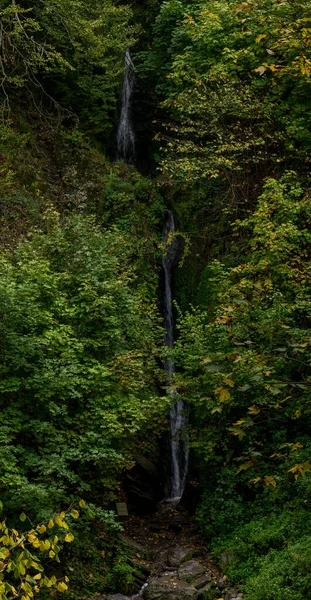 Belle Cascade Dans Forêt — Photo