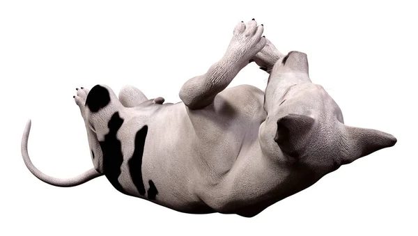 Візуалізація Голови Собаки — стокове фото