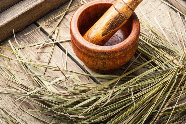Medicinal Use Herb Sweet Grass Herbal Medicine — Stock Photo, Image