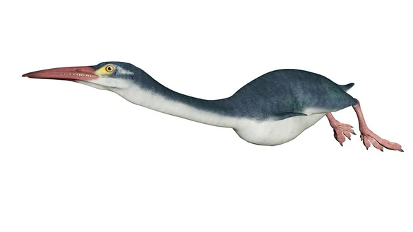 Hesperornis Доісторичний Птах Ізольований Білому Фоні Рендеринг — стокове фото