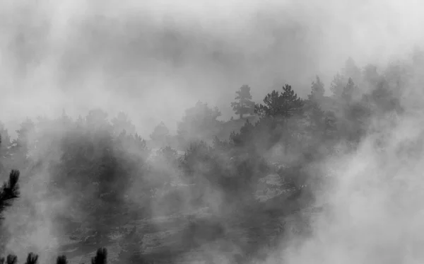 계곡을 구름이 산에서 내려다 보인다 — 스톡 사진