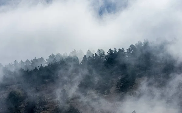 Nuvens Baixas Sobre Vale Vista Das Montanhas Nuvens Baixas — Fotografia de Stock