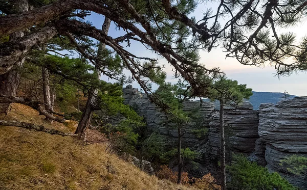 Kırım Dağları Ormanları Dağlardan Kayalardan Oluşan Ağaçlar Kozalaklı Yapraklı Ağaçlar — Stok fotoğraf