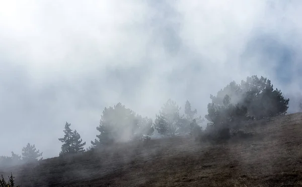 계곡을 구름이 산에서 내려다 보인다 — 스톡 사진