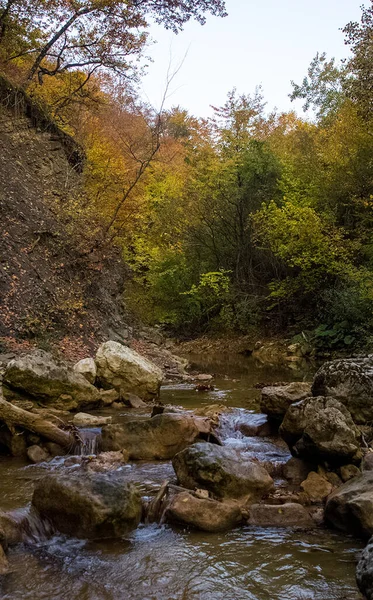 Pequeño Río Montaña Bosque Con Rápidos Cascadas Arroyo Forestal —  Fotos de Stock