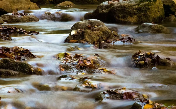 Βουνό Μικρό Ποτάμι Στο Δάσος Ορμητικά Νερά Και Καταρράκτες Ένα — Φωτογραφία Αρχείου