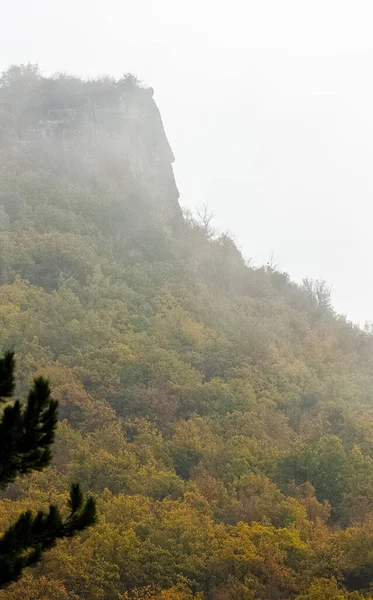 Bergen Wouden Van Krim Naaldbomen Loofbomen Heuvels Van Bergen Rotsen — Stockfoto