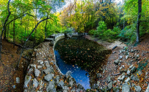 Piccolo Fiume Montagna Nella Foresta Con Rapide Cascate Ruscello Foresta — Foto Stock