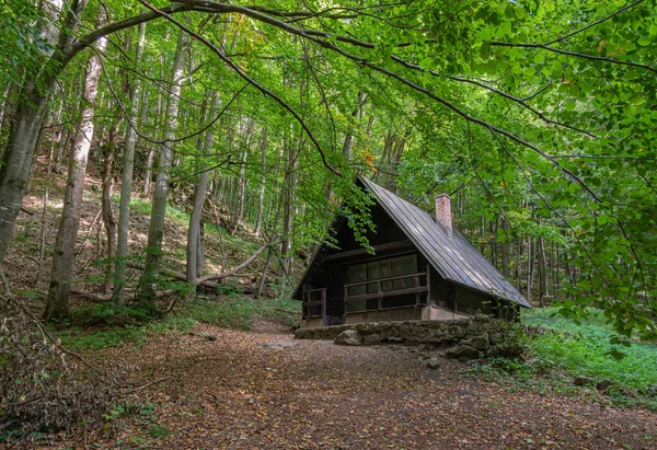 Dřevěný Dům Lese — Stock fotografie