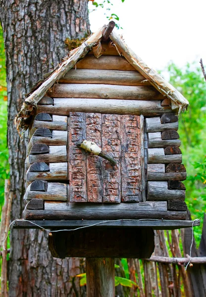 Nichoir Dans Forêt — Photo