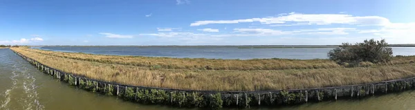 Valli Comacchio Rybí Pánev Comacchio Řada Sousedících Brakických Lagun Ležících — Stock fotografie