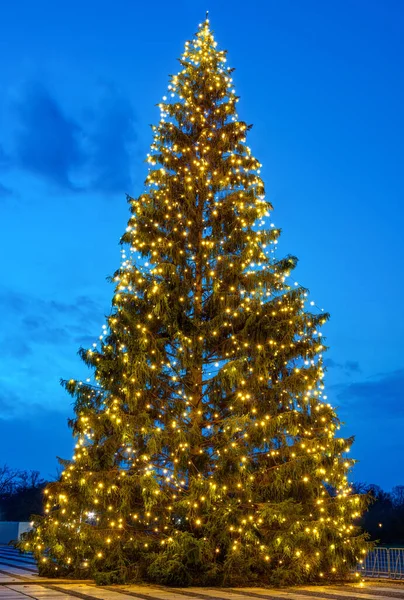 Arbre Noël Avec Neige Lumières — Photo