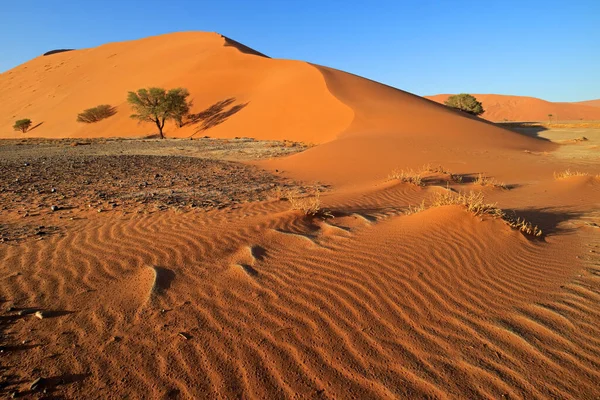 Duna Areia Vermelha Com Seixos Pedra Espinhos Sossusvlei Deserto Namíbia — Fotografia de Stock