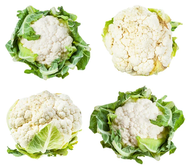 Fresh Cauliflower Isolated White Background — Stock Photo, Image