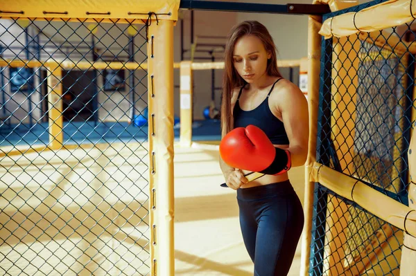 Sportig Kvinnlig Mma Fighter Boxningshandskar Utgör Bur Gym Idrottskvinna Stridsträning — Stockfoto