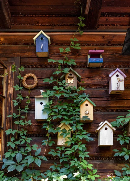 Alimentadores Pássaros Decorativos Velhos Casas Pássaros Madeira — Fotografia de Stock