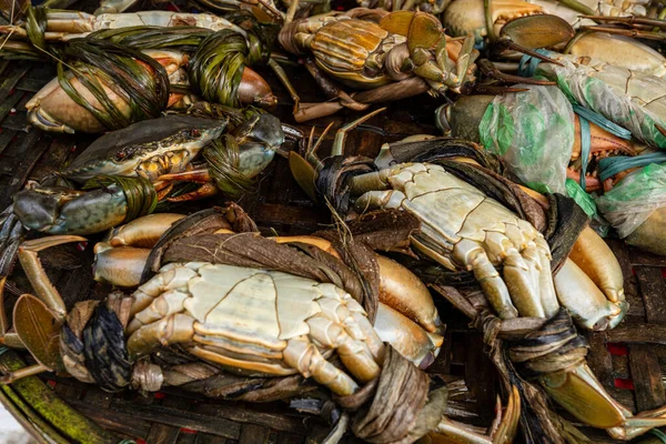 Fresh Seafood Market Stall — Stock Photo, Image