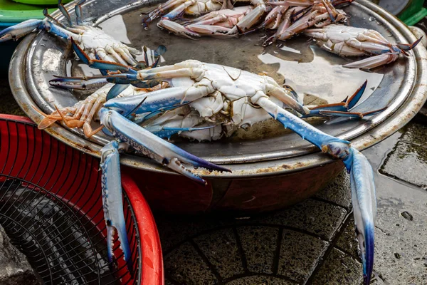 Fresh Seafood Market — Stock Photo, Image
