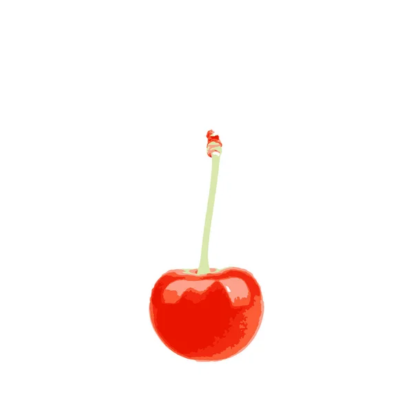 Red Cherry White Background — Stock Photo, Image