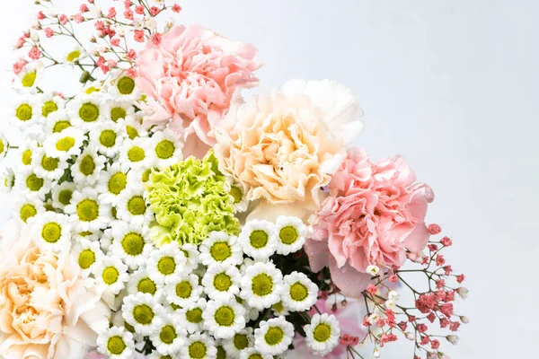 Hermosas Flores Sobre Fondo Blanco — Foto de Stock