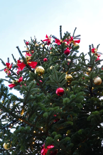 Palle Natale Abete Natale — Foto Stock