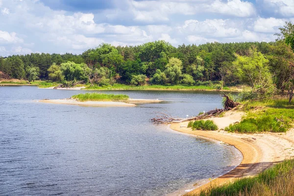 Plajă Mică Insulă Lagună Sau Lac Sunată Mesteacăn Pădure Pin — Fotografie, imagine de stoc