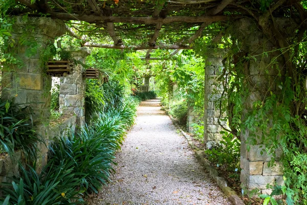 夏末色彩艳丽的Pergola花园 这种建筑和设计受到了自然的启发 — 图库照片