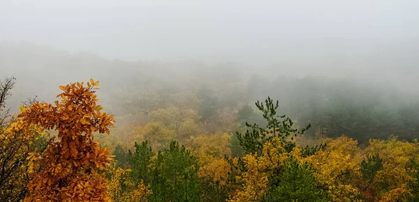Осенний Лес Горах Крыма Осенняя Природа Лесу — стоковое фото