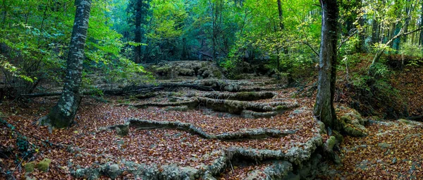 Autumn Forest Mountains Crimea Autumn Nature Forest — Stock Photo, Image